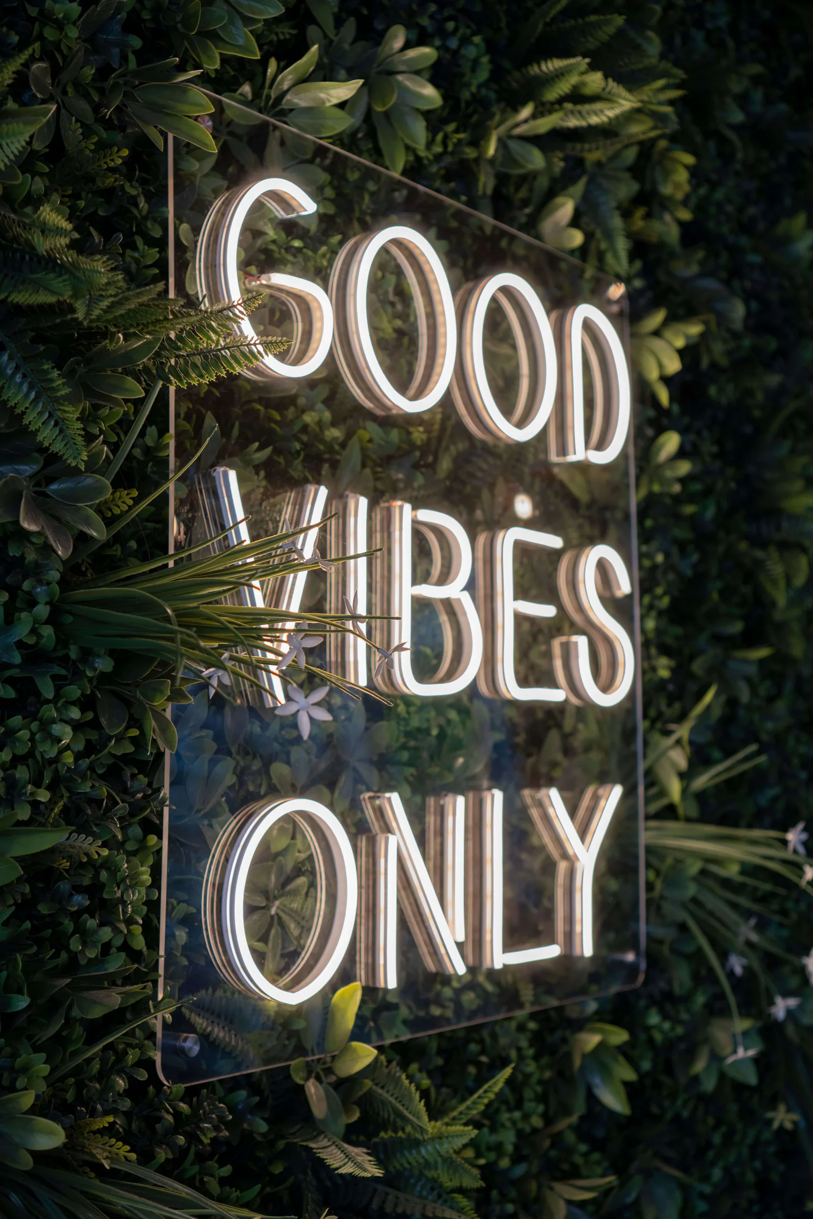An illuminated Good Vibes Only sign framed by dark green foliage